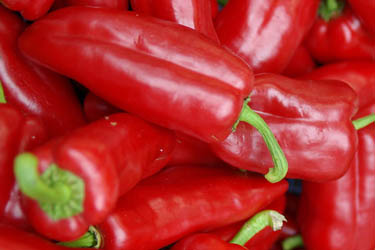 Pepper